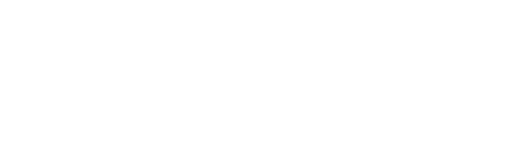 VORA 360